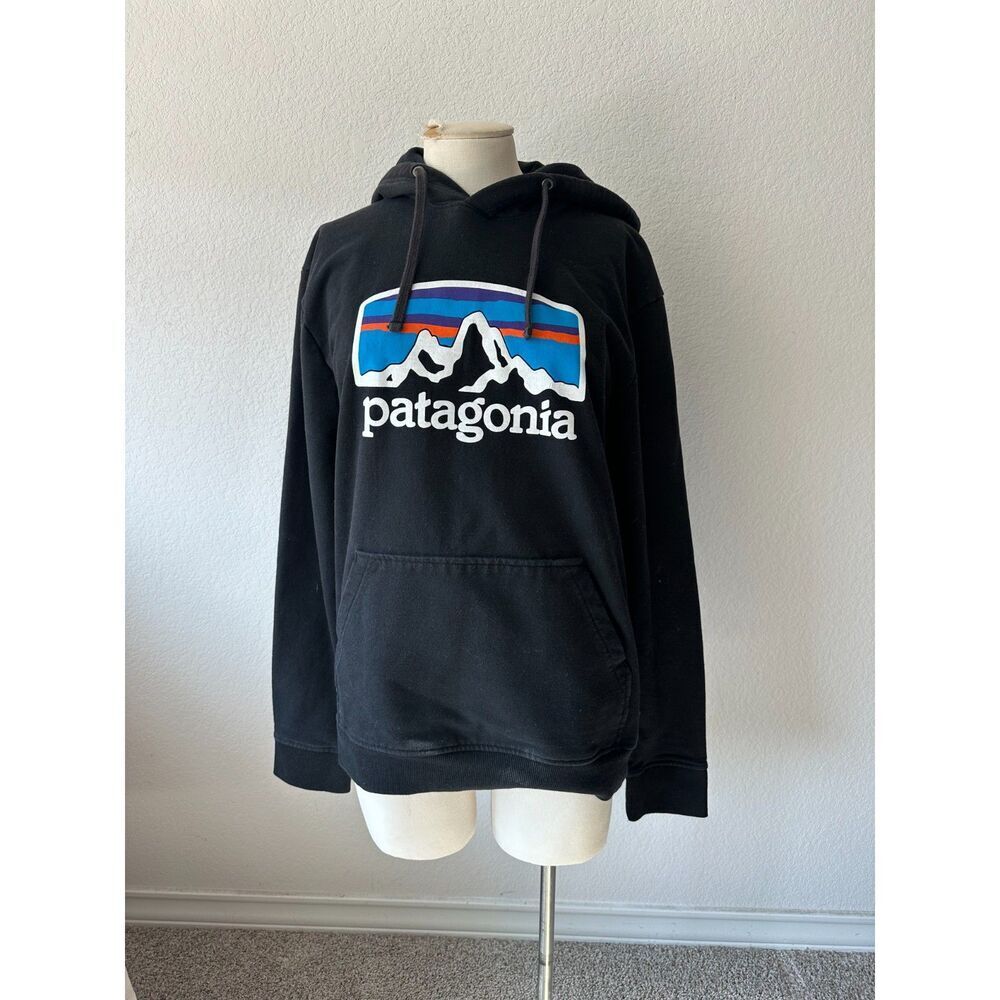 Patagonia Men's Logo Hoodie